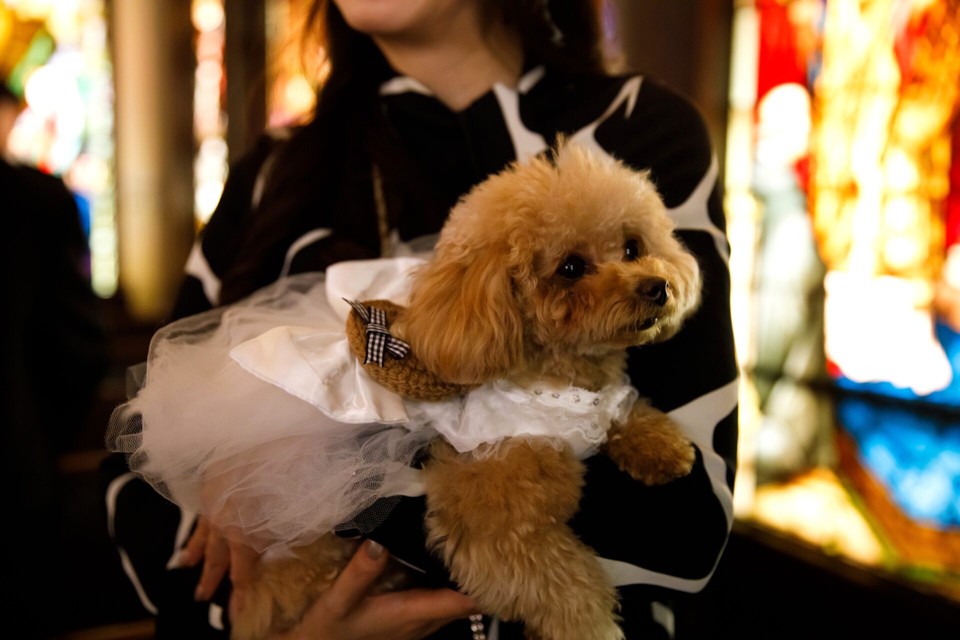 ウェディングレポート イメージ