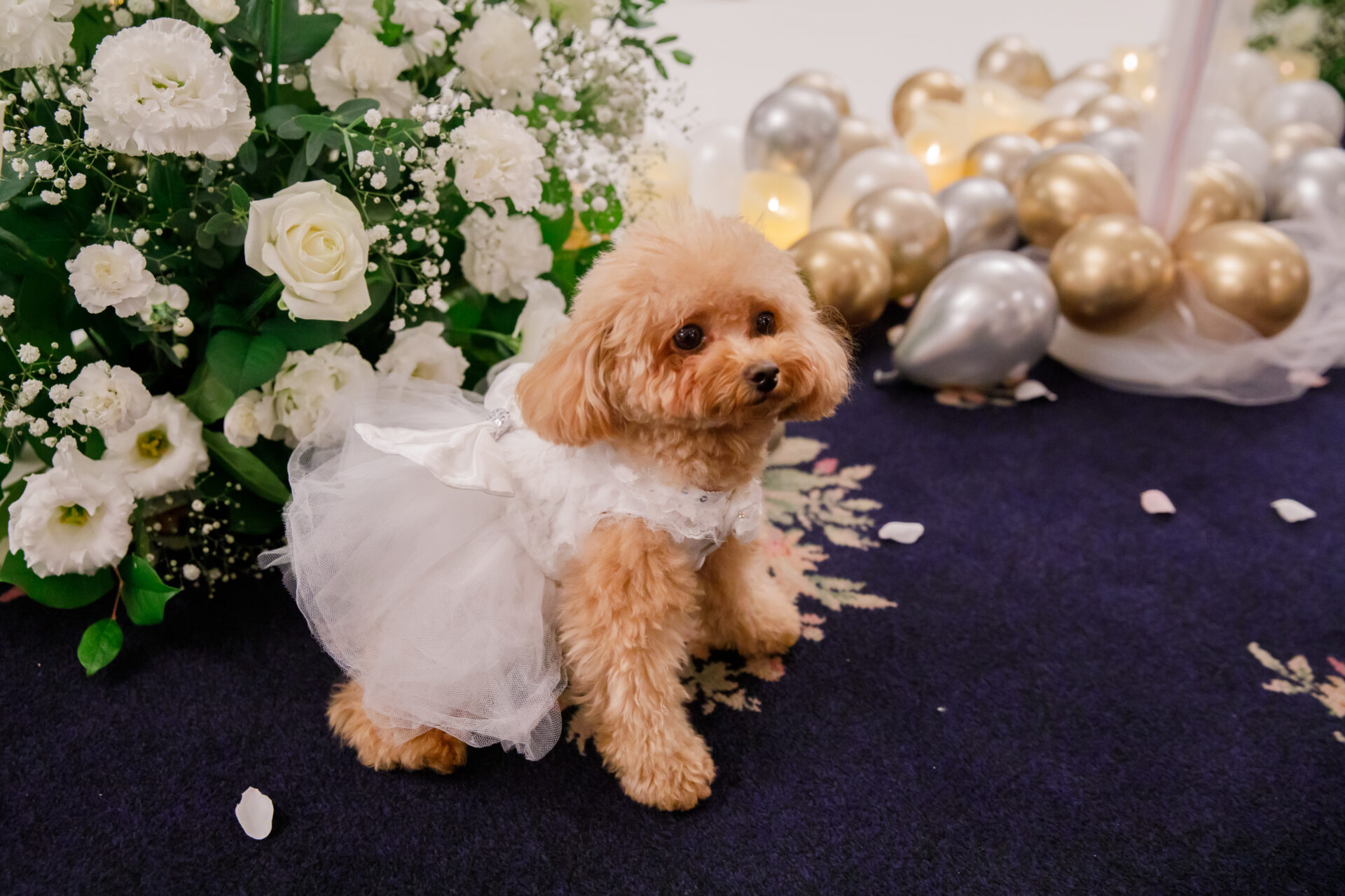 ウェディングレポート イメージ